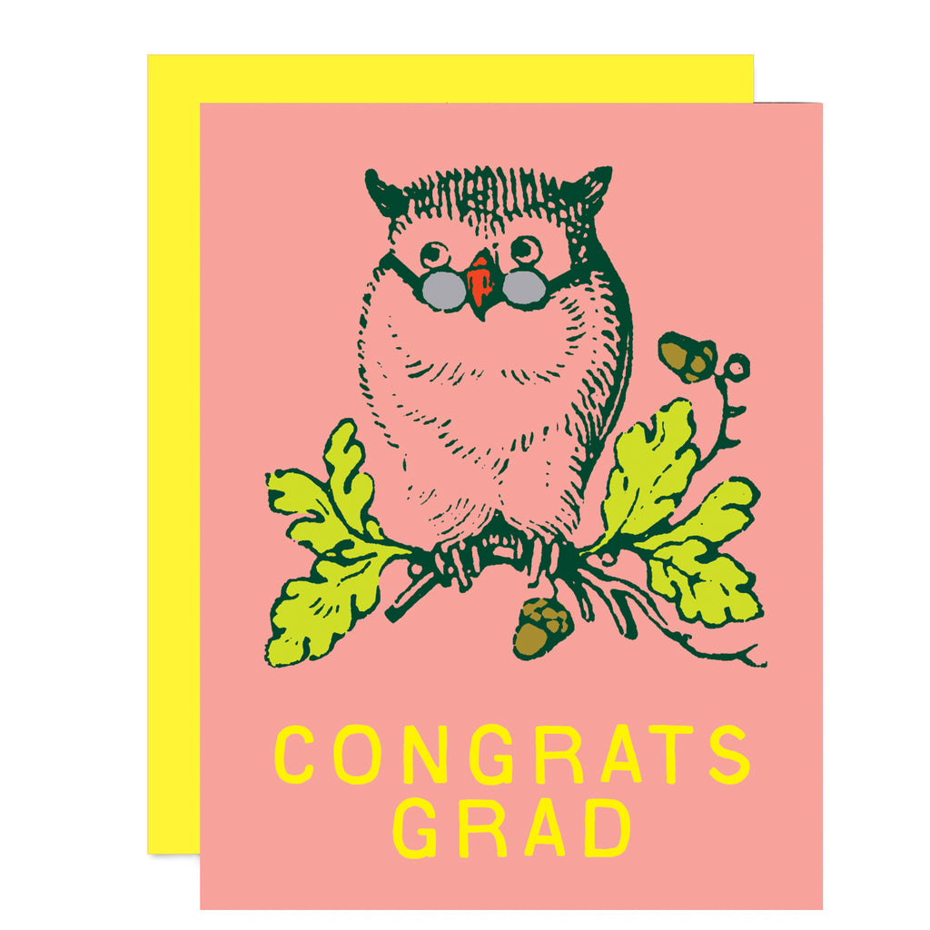 Wise Owl