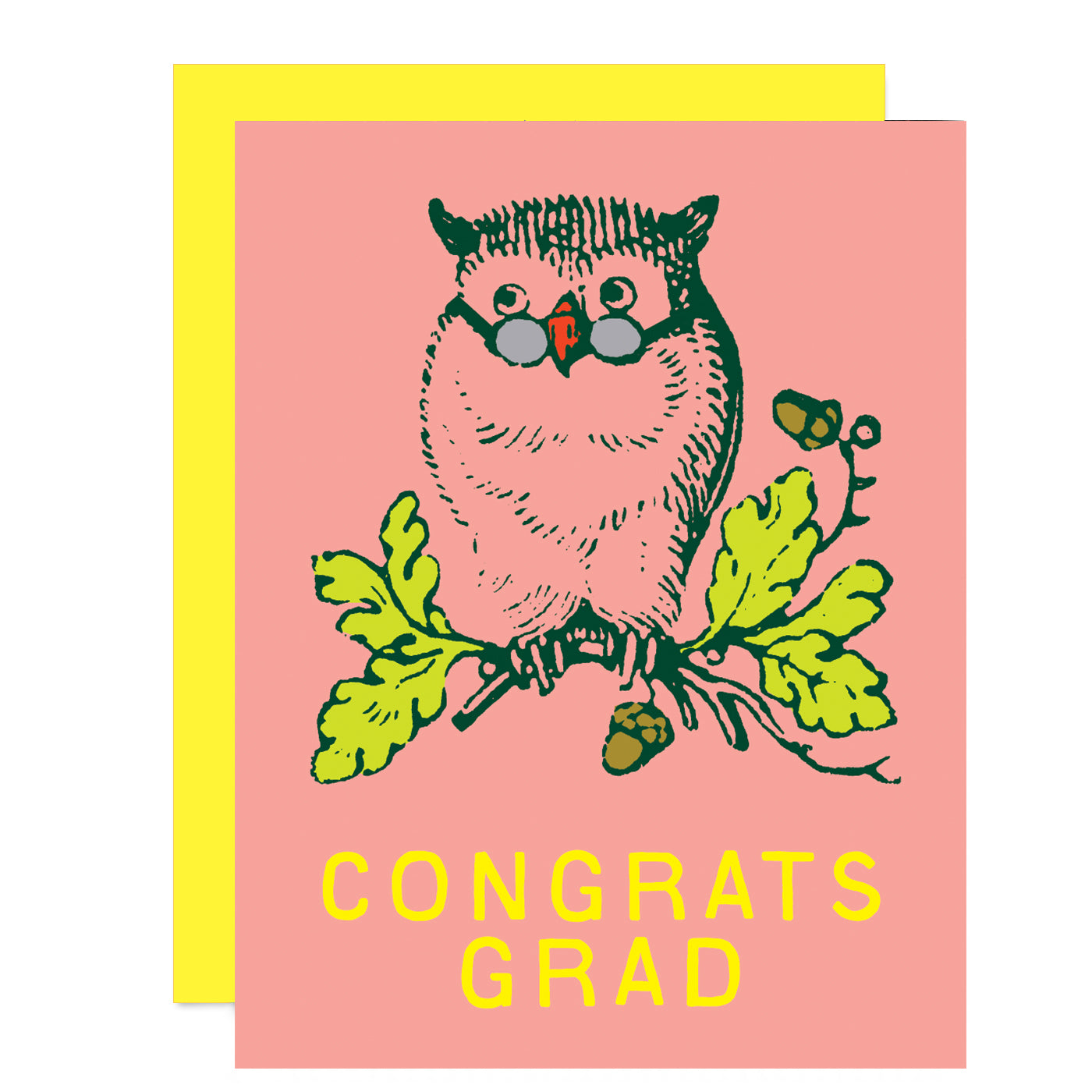 Wise Owl