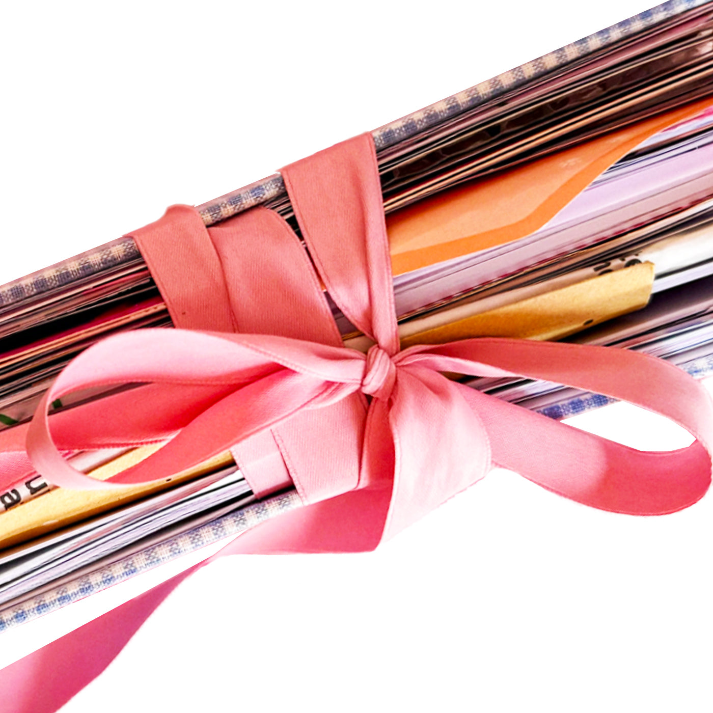 Pink Gingham & Blue Ribbon-Martina Calvi Memory Collecting Journal