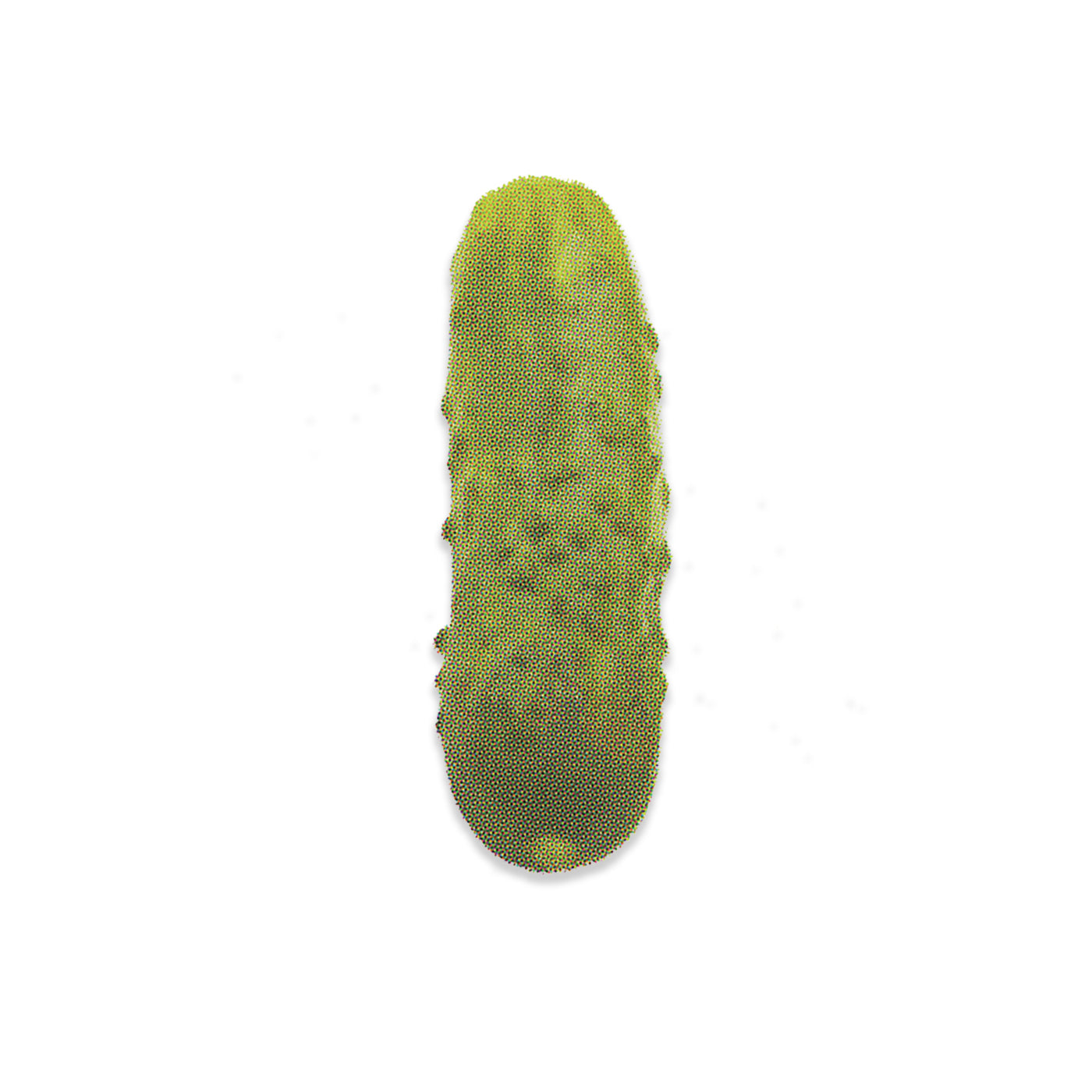 PICKLE
