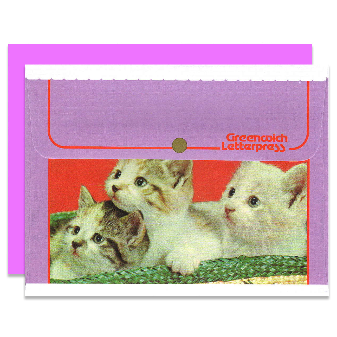 PURPLE CAT PETS