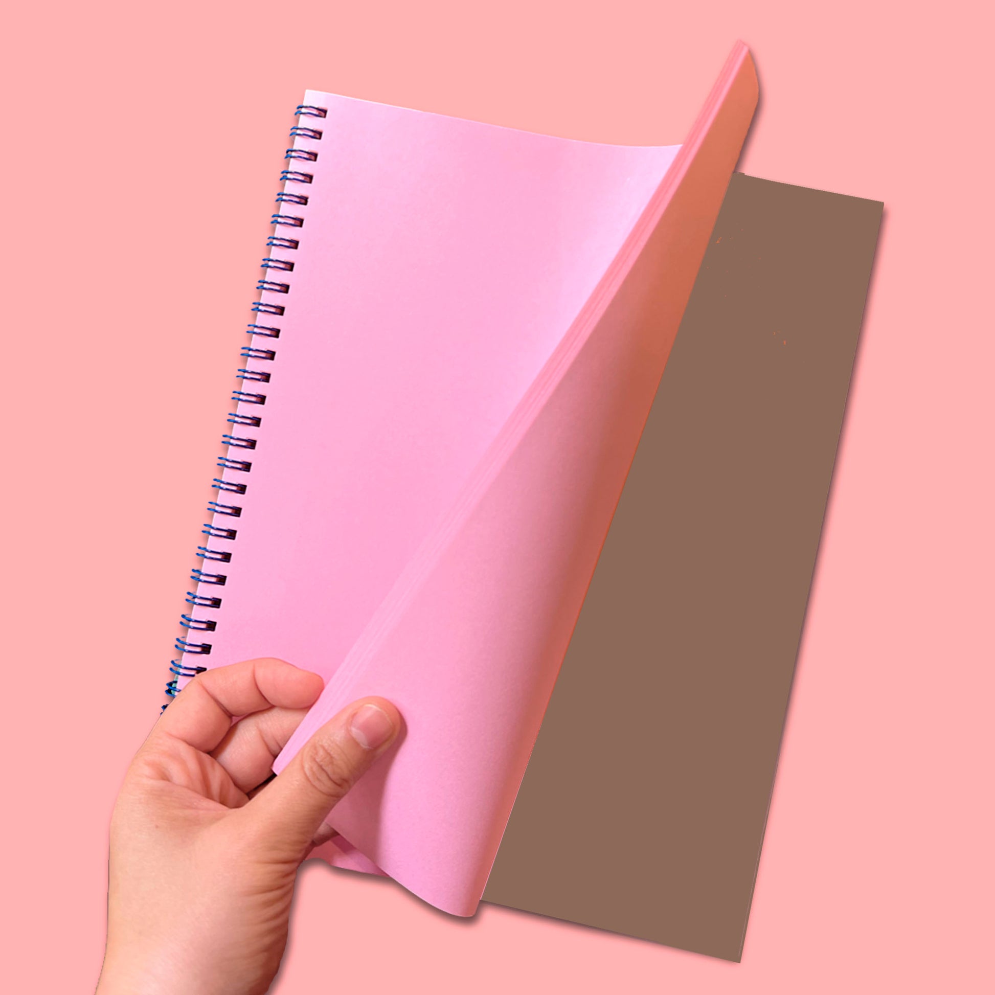 CATS UNDATED MONTHLY PLANNER