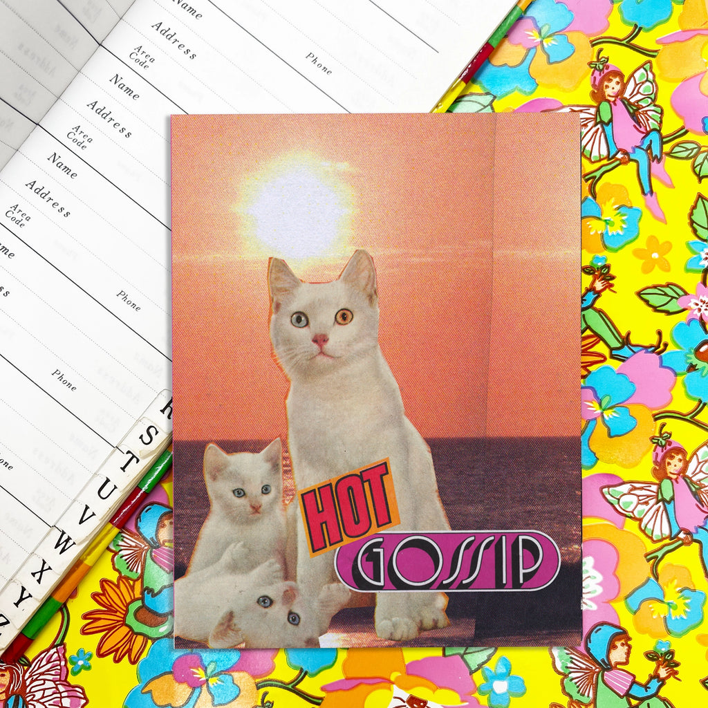 HOT GOSSIP